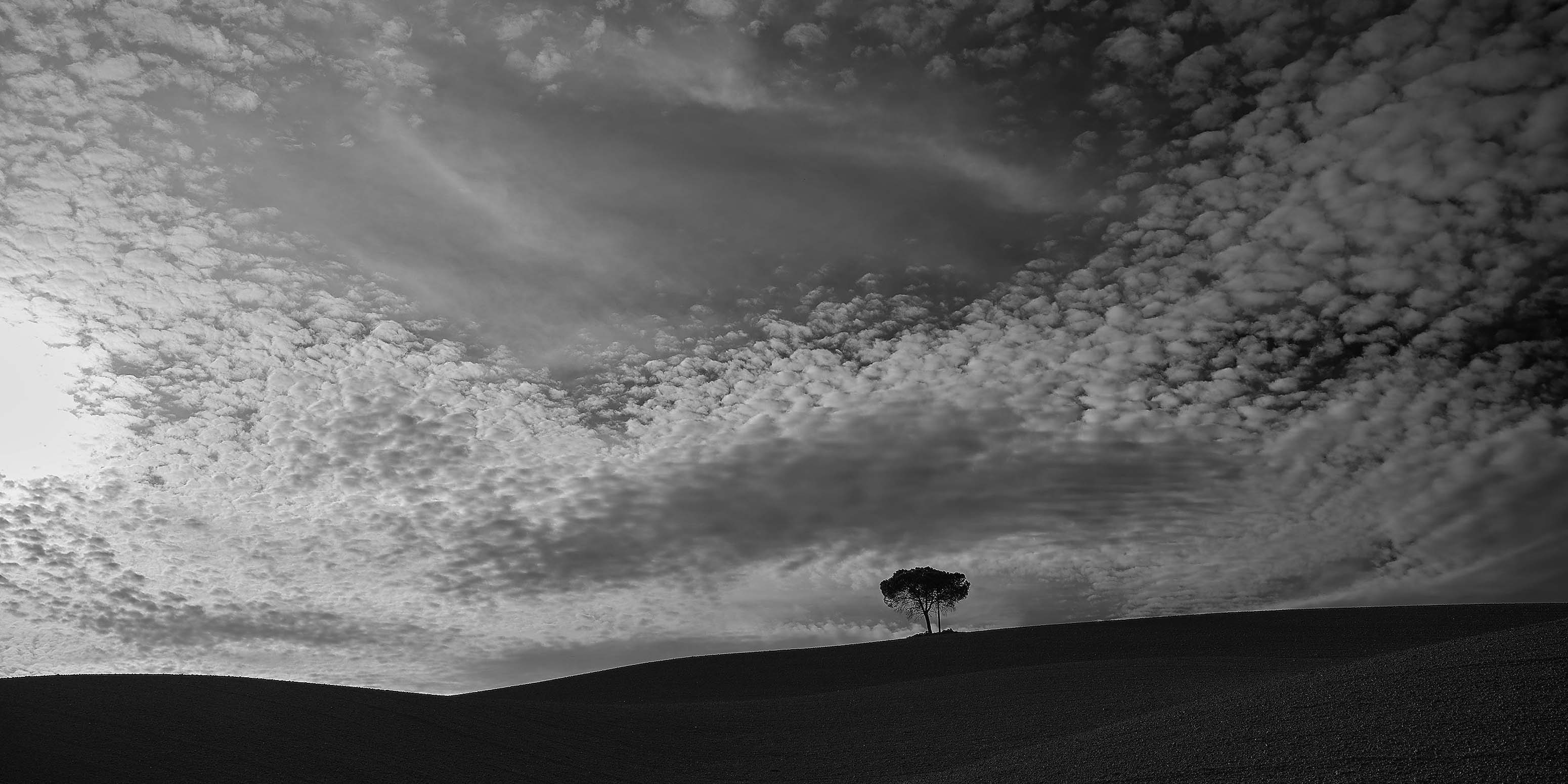 Schwarz-Weiß-Foto eines dramatischen Himmels mit strukturierten, vereinzelten Wolken über sanften Hügeln, wobei ein einzelner Baum am Horizont nahe der Bildmitte steht.
