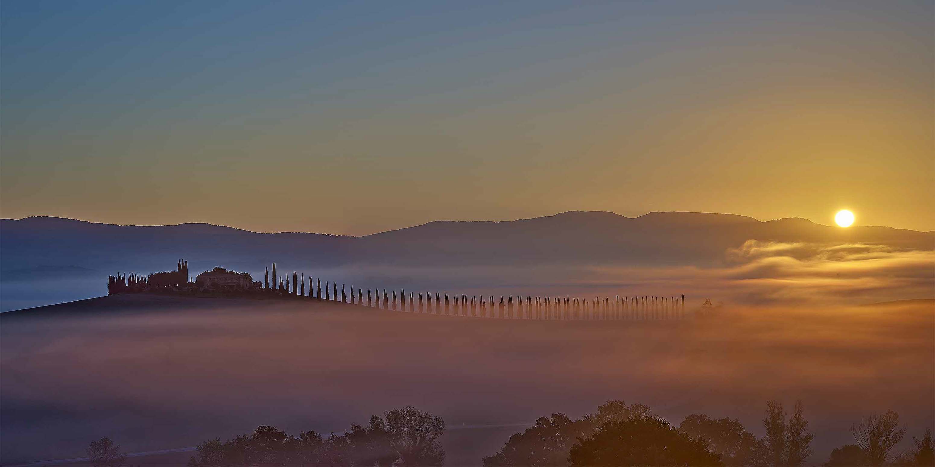 Sonnenaufgang über einer nebligen Landschaft mit sanften Hügeln, einer Reihe hoher Zypressen und einem Bauernhaus in der Ferne. Sanftes goldenes Licht und Nebel schaffen eine ruhige, stimmungsvolle Szenerie.