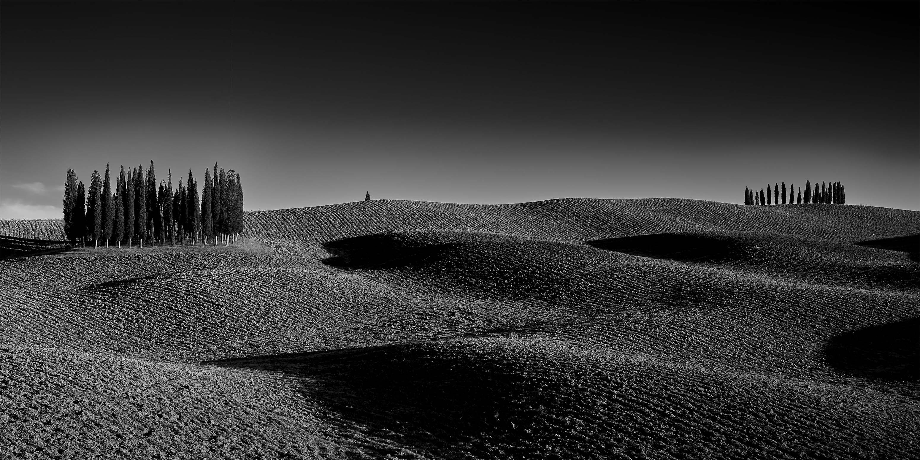 Schwarz-weiße Landschaft mit sanften Hügeln, strukturiertem Boden, spärlichen Schatten und zwei deutlich erkennbaren Gruppen hoher Zypressen, die unter einem klaren Himmel auf getrennten Hügelkuppen stehen.